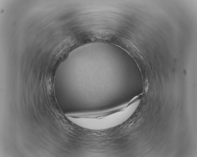 X0000088380915200706121141