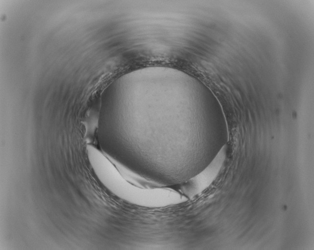 X0000088380916200706121141