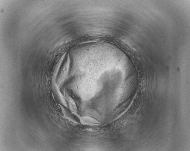 X0000088380917200706121141