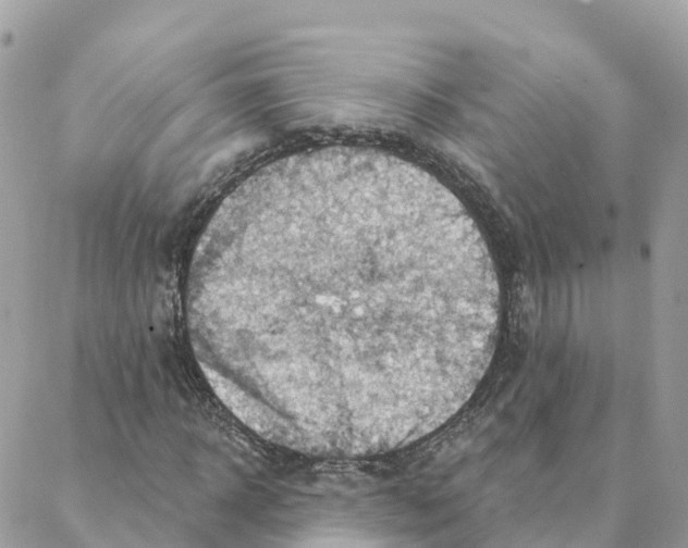 X0000088380918200706121141