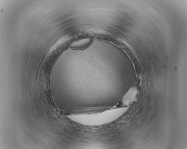 X0000088380919200706121141