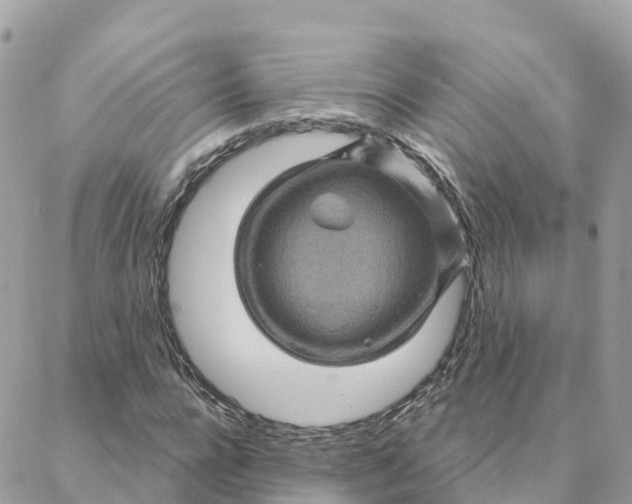 X0000088380920200706121141