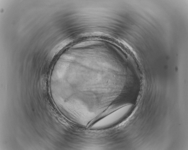 X0000088380921200706121141