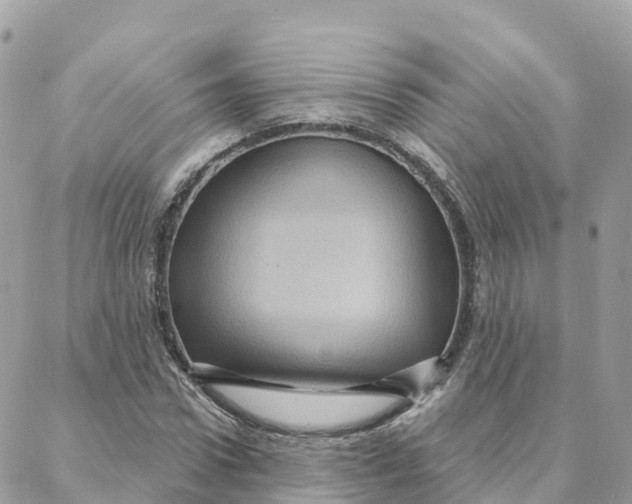 X0000088380922200706121141