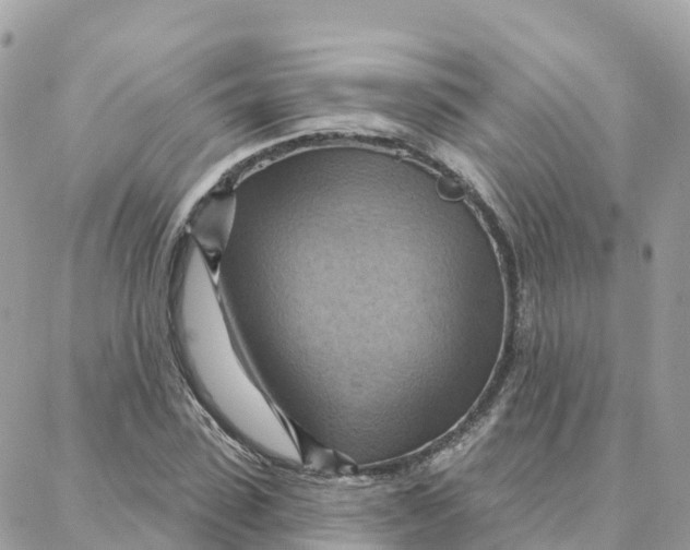 X0000088380923200706121141