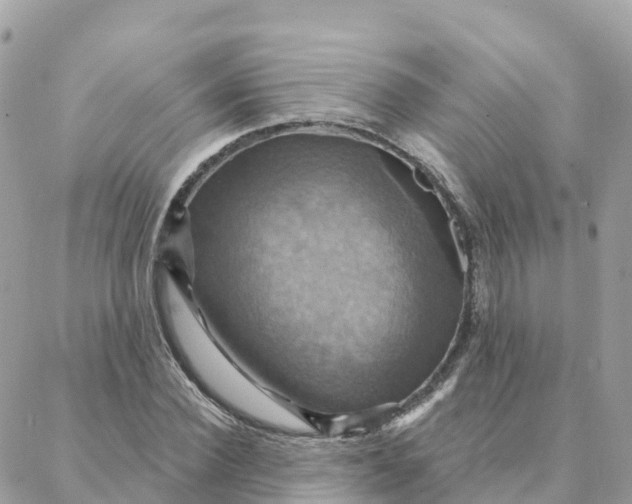 X0000088380924200706121141