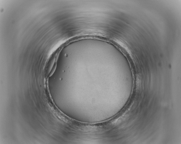 X0000088380925200706121141