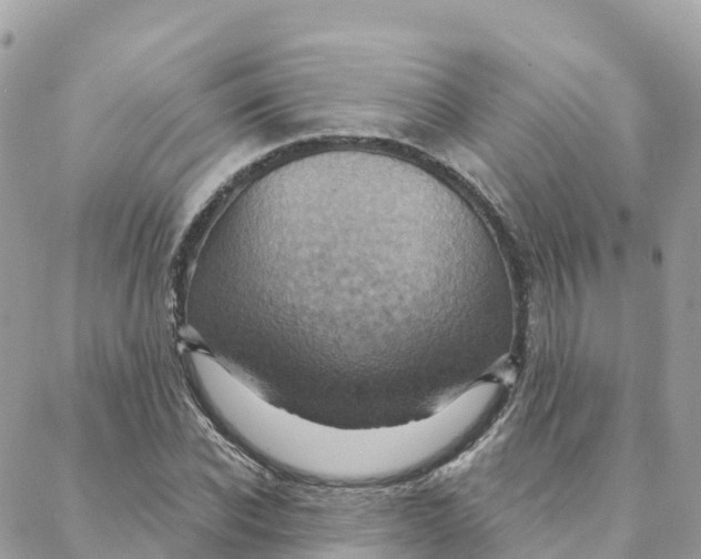 X0000088380926200706121141