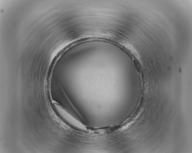 X0000088380928200706121141