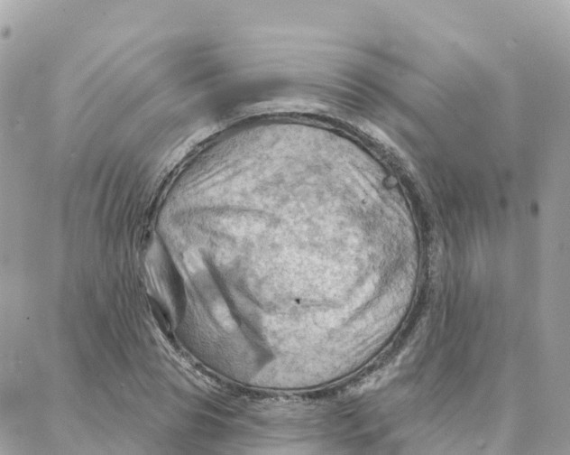 X0000088380929200706121141