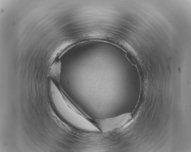 X0000088380930200706121141