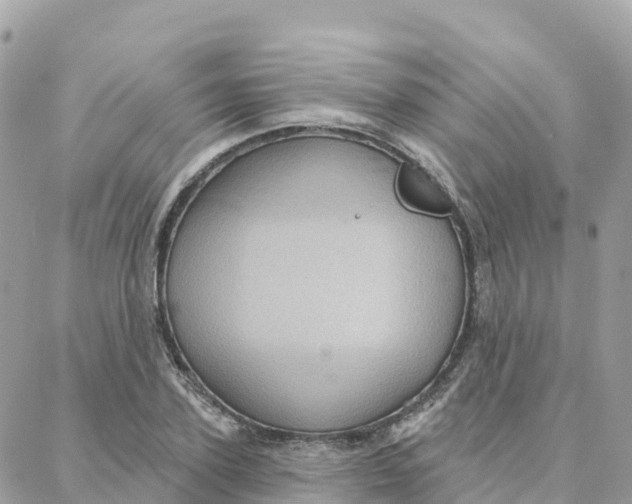 X0000088380931200706121141