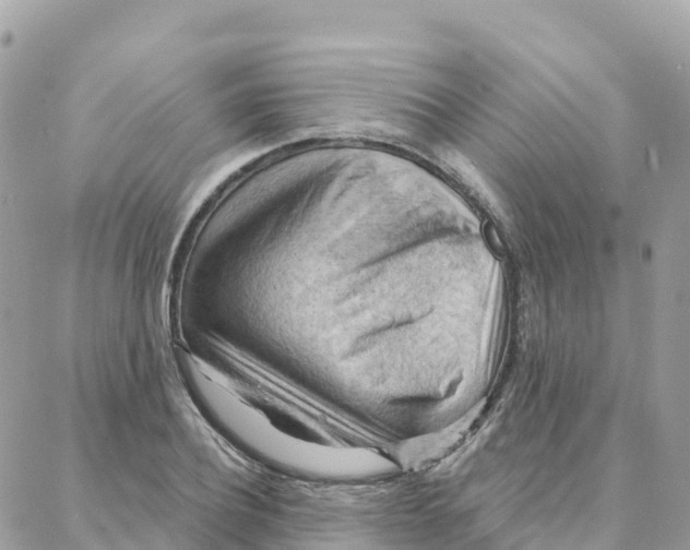 X0000088380932200706121141