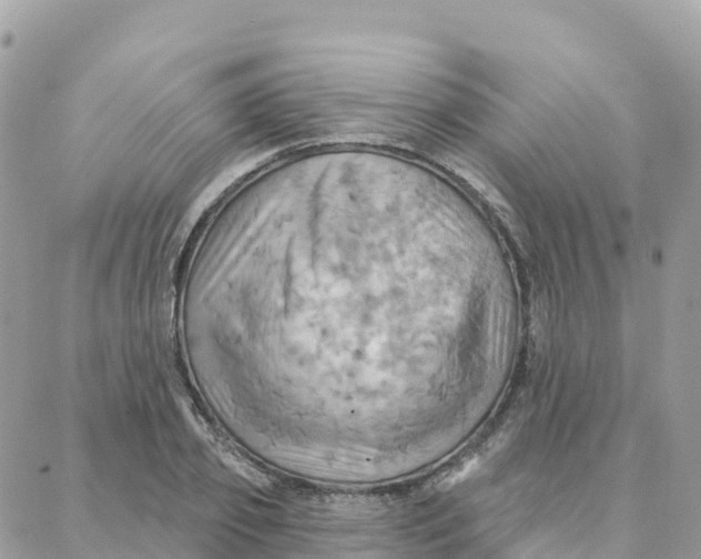 X0000088380933200706121141