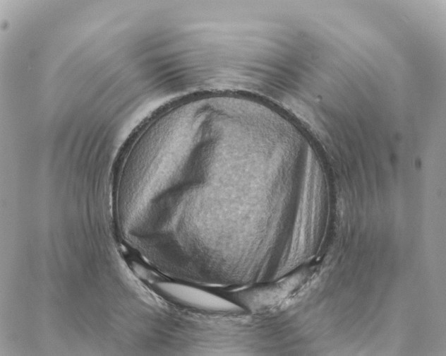 X0000088380934200706121141