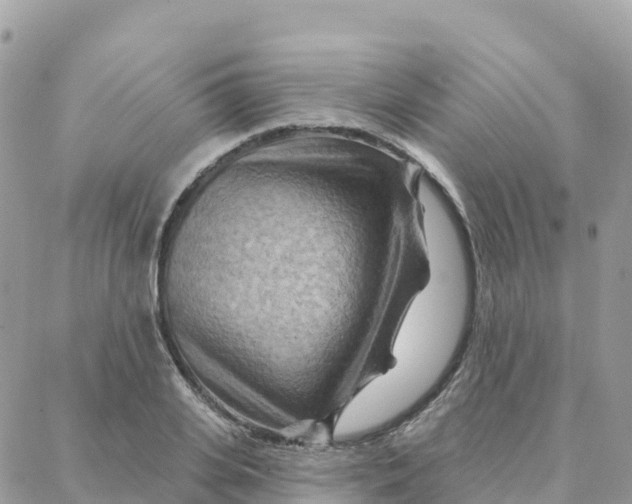 X0000088380935200706121141