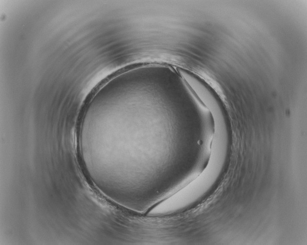 X0000088380936200706121141