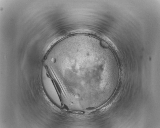 X0000088380937200706121141