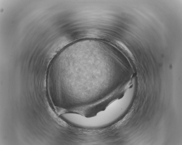 X0000088380938200706121141