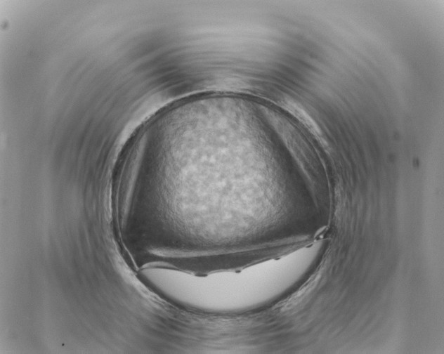 X0000088380939200706121141