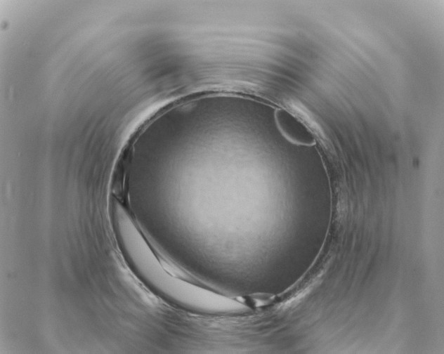 X0000088380940200706121141