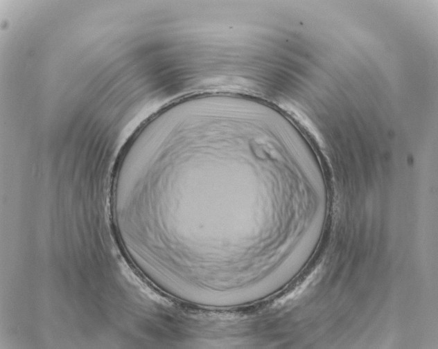 X0000088380941200706121141