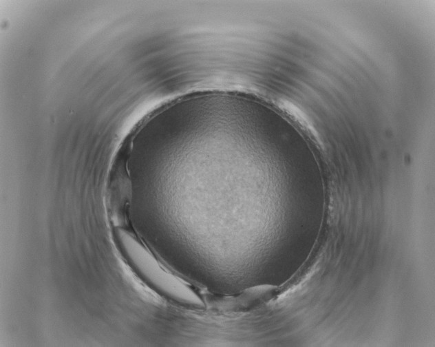 X0000088380942200706121141