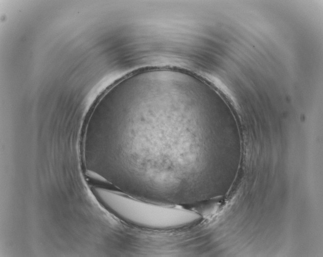 X0000088380943200706121141