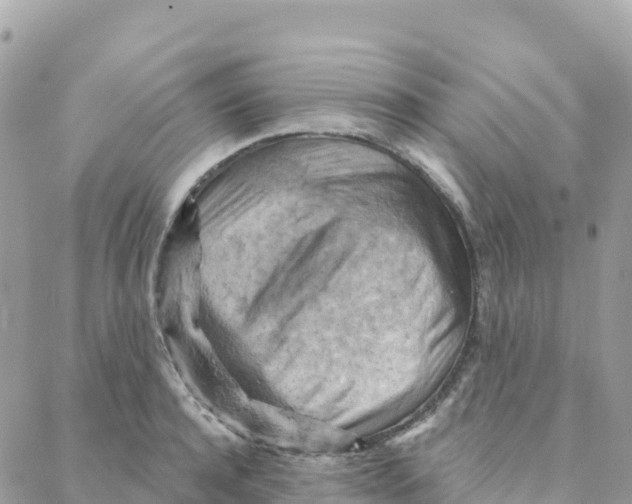 X0000088380944200706121141