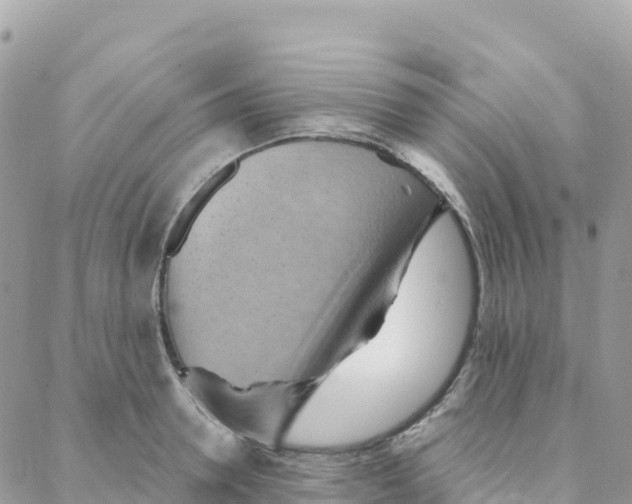 X0000088380946200706121141