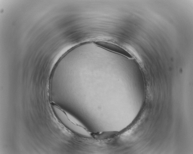 X0000088380948200706121141