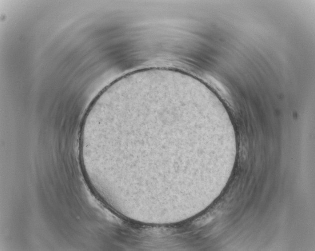 X0000088380950200706121142