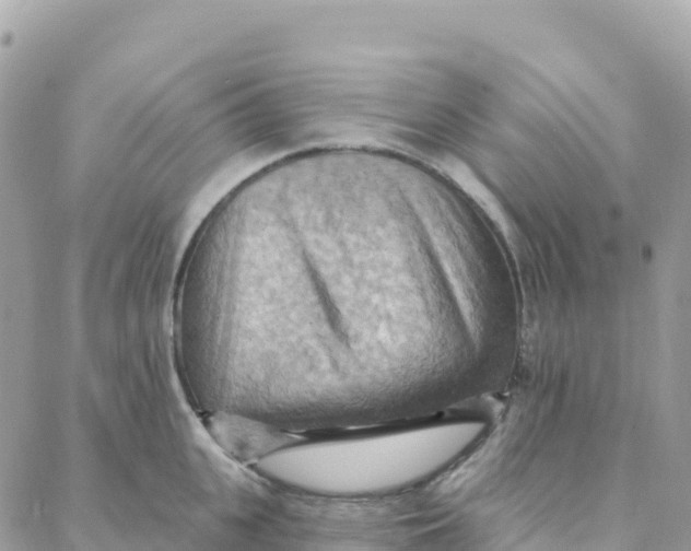 X0000088380951200706121142