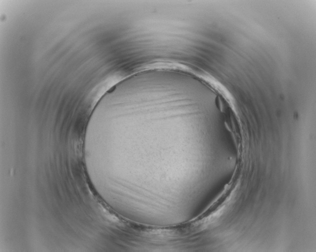 X0000088380953200706121142