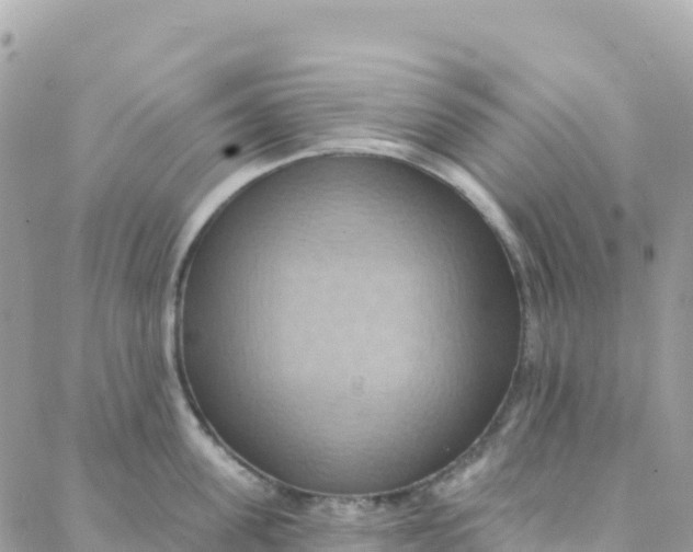 X0000088380955200706121142