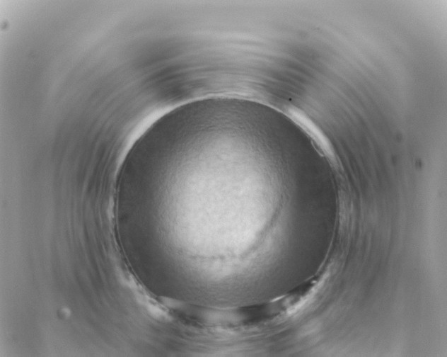 X0000088380956200706121142