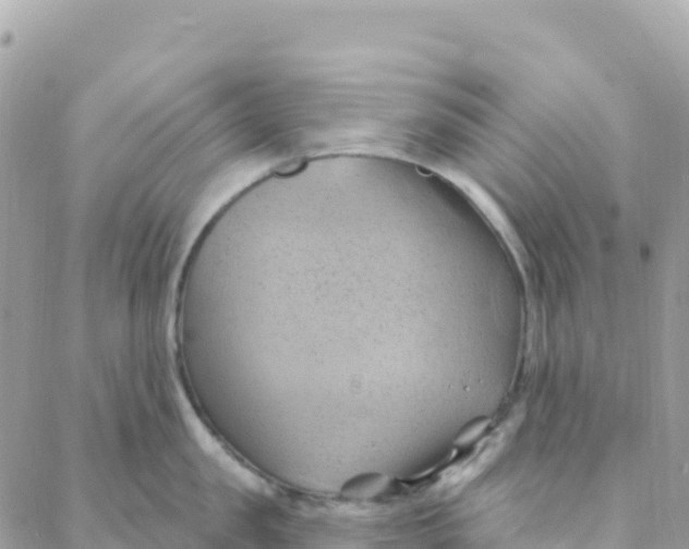 X0000088380957200706121142