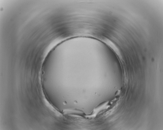 X0000088380958200706121142