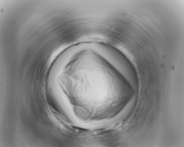 X0000088380960200706121142