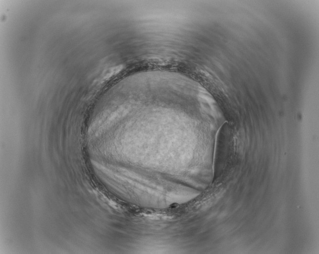 X0000088380961200706121141