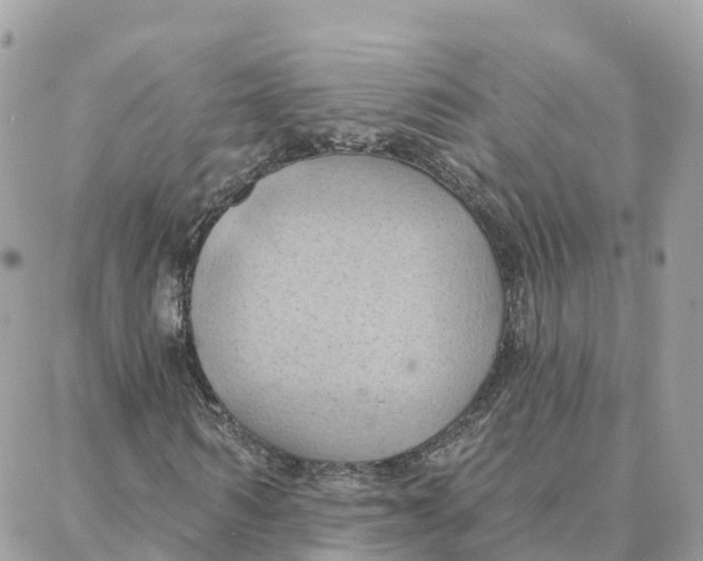 X0000088380962200706121141