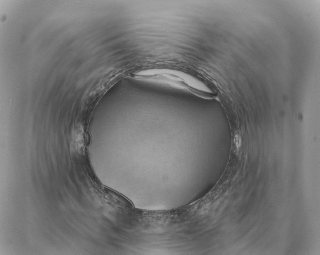 X0000088380963200706121141