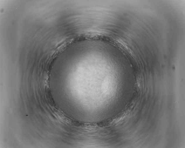 X0000088380964200706121141