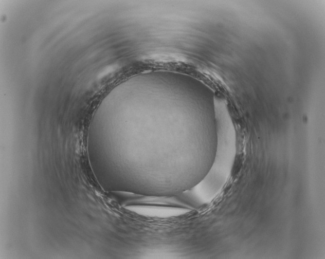 X0000088380965200706121141