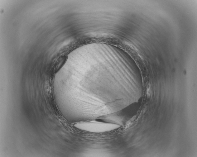 X0000088380966200706121141