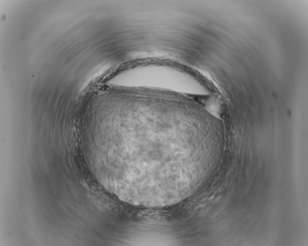 X0000088380967200706121141