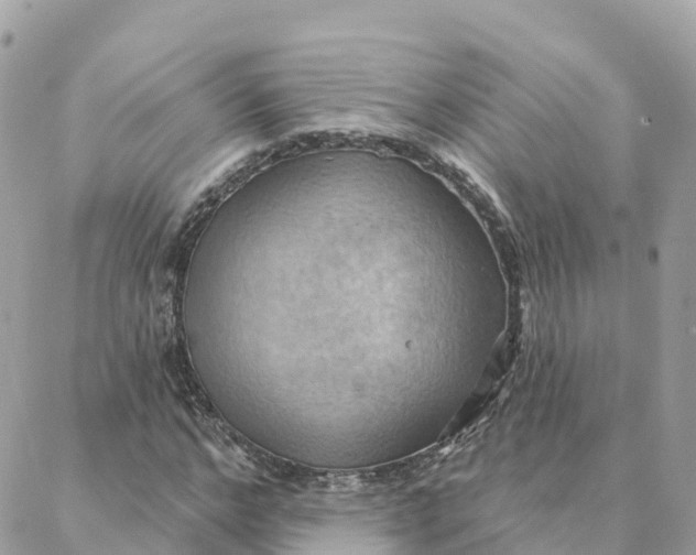 X0000088380968200706121141