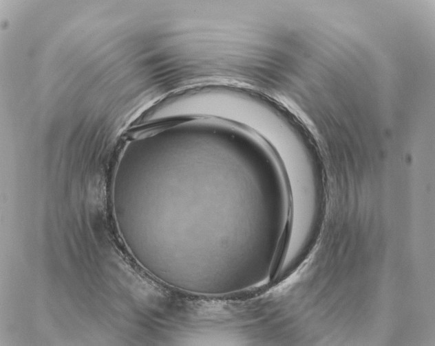 X0000088380969200706121141