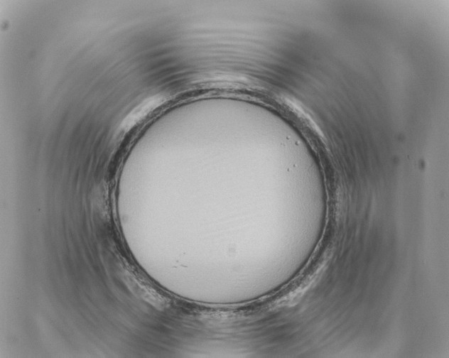 X0000088380970200706121141