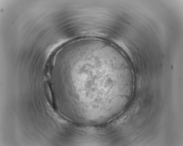 X0000088380971200706121141